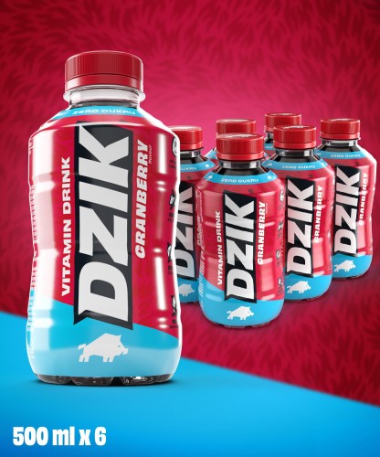Dzik vitamin drink cranberry 6pak.jpg
