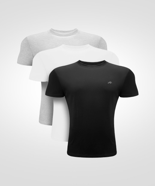 3-PAK KOSZULEK REGULAR DZIK®  