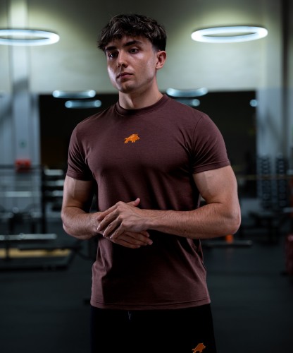 core-t-shirt-halogen-regular-chocolate-brown-img-1.jpg