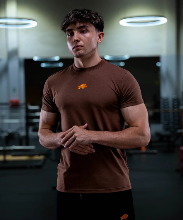 core-t-shirt-halogen-regular-chocolate-brown-img-1.jpg