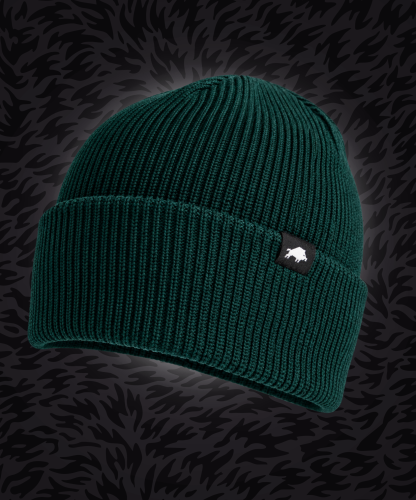 CORE WINTER HAT EVERGREEN.png