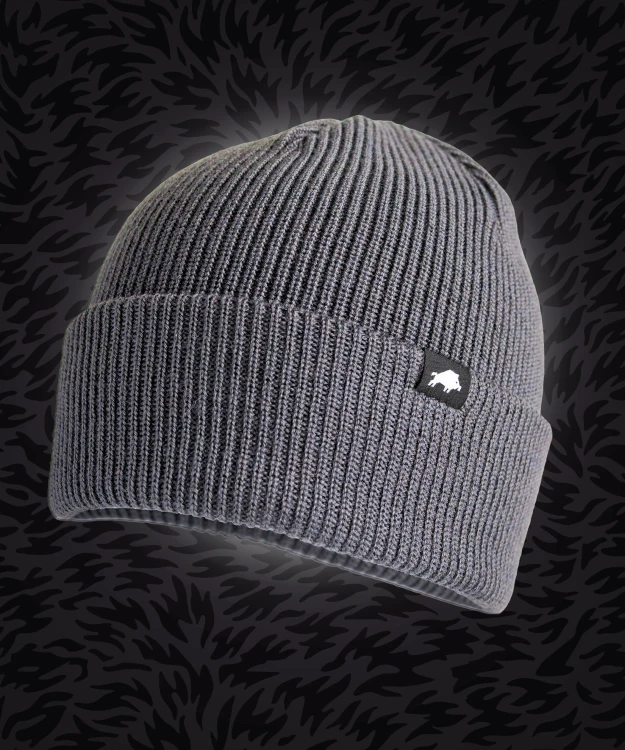 CORE WINTER HAT GRAY.png