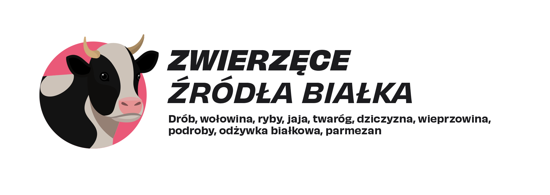 Najlepsze źródła białka zwierzęcego