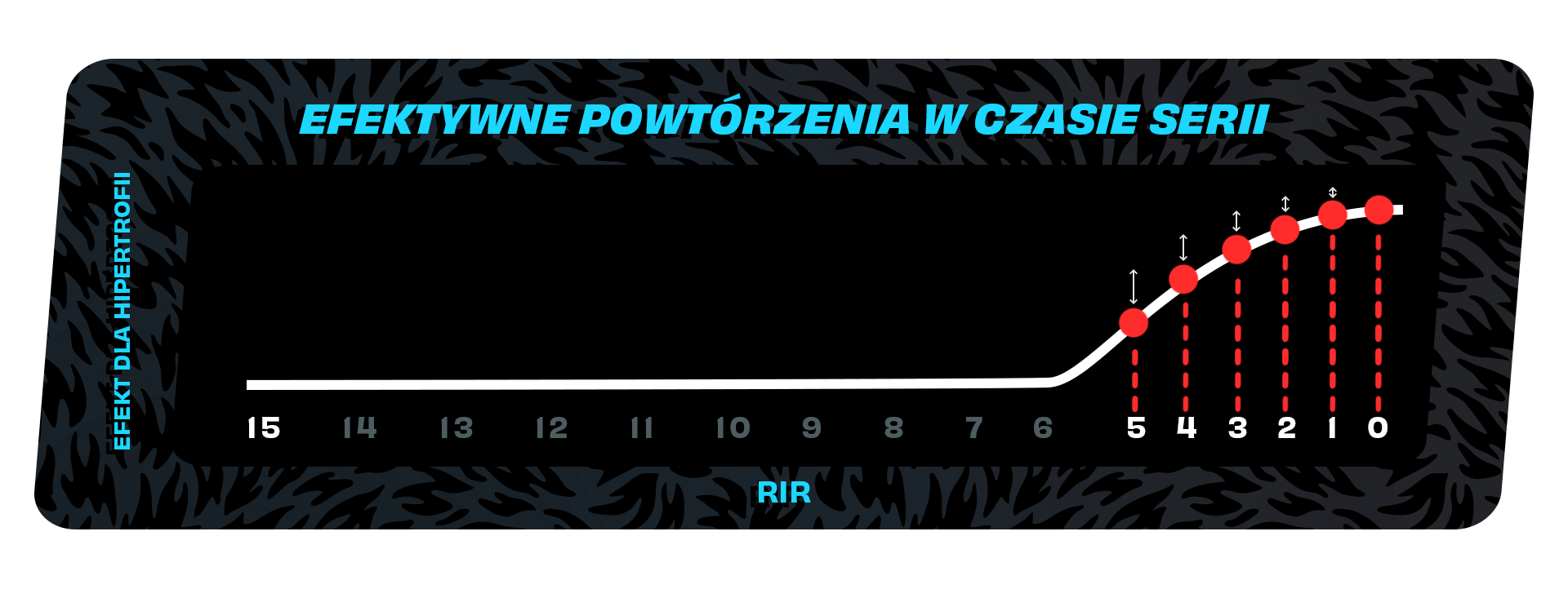 Wykres efektywnych powtórzeń w czasie