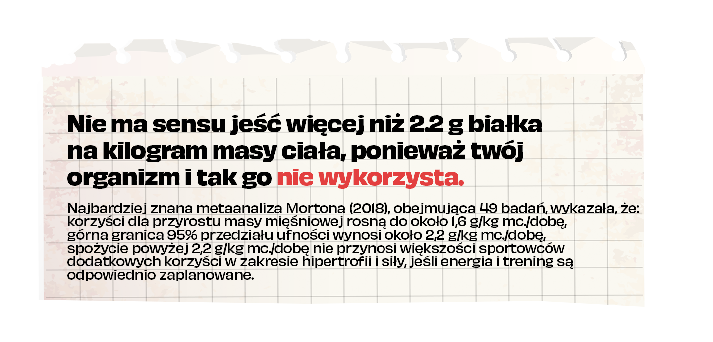 infografika z treścią dotyczącą przyjmowania odpowiedniej ilości białka w stosunku do masy ciała