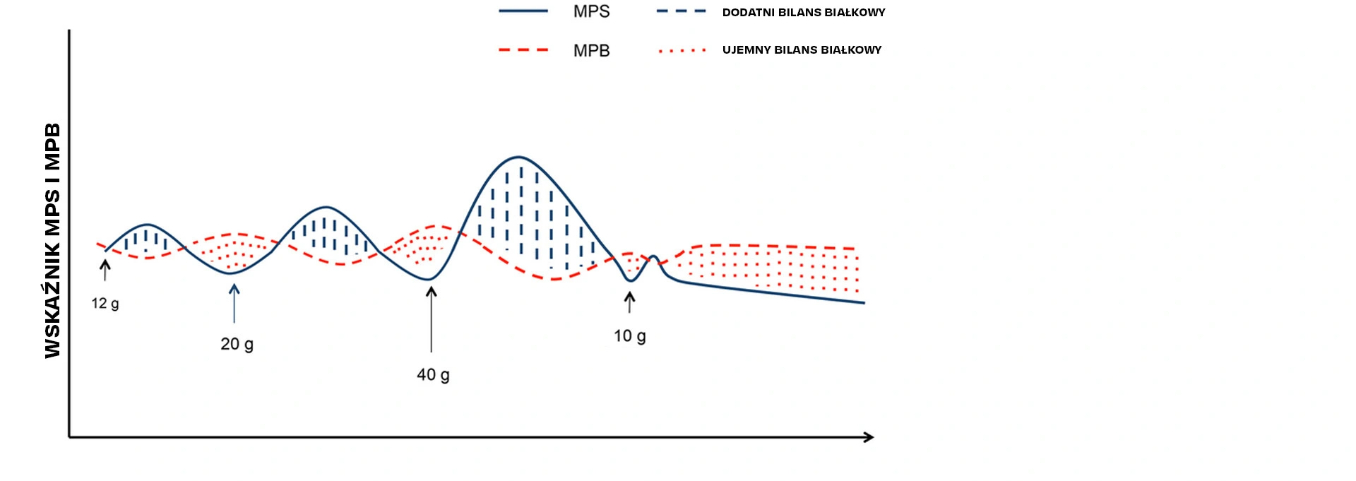 Schemat wskaźników MPS i MPB