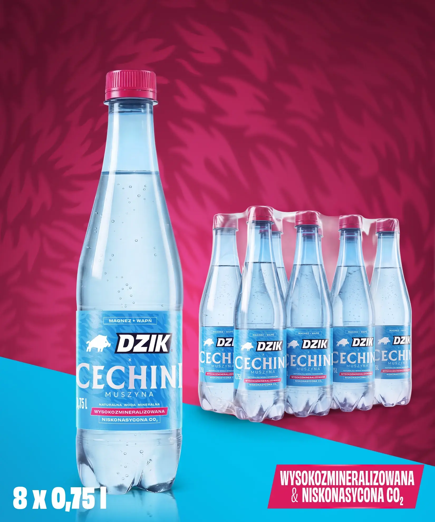 WODA CECHINI X DZIK 0,75L x 8 SZT