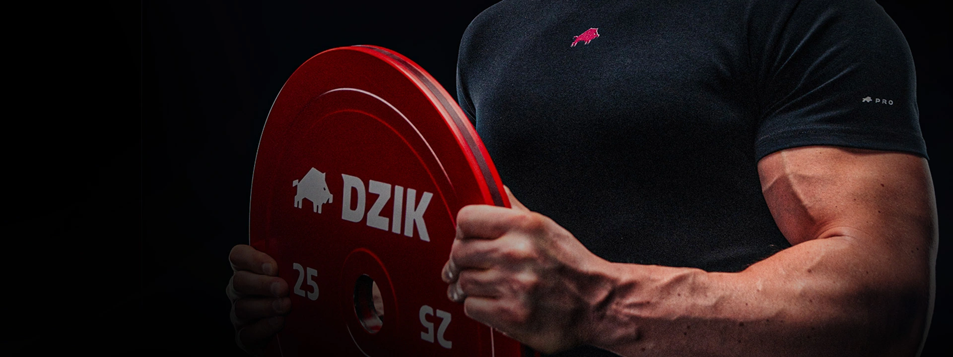 WSZYSTKO, CO MUSISZ WIEDZIEĆ O MASIE I BUDOWANIU MIĘŚNI